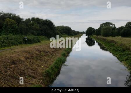 Shapwick Heath Nature Reserve, Somerset, UK Stock Photo