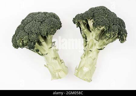 Top view photography of two green branches of uncooked broccoli on white background made in studio Stock Photo