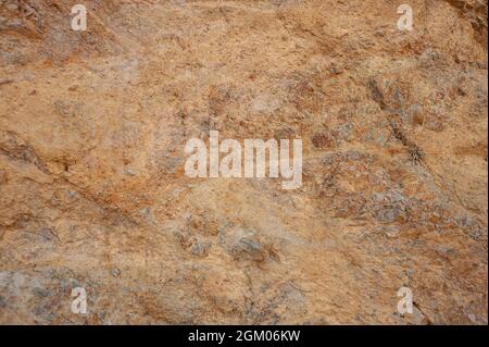 stone with dirt seamless texture Stock Photo