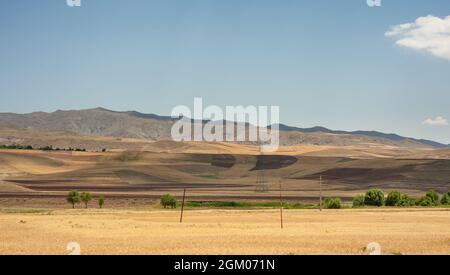 Wheat field on the hill or slope with blue and partly cloudy sky in Kurdistan province, iran Stock Photo