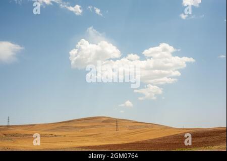 harvested Wheat field on the hill with blue and partly cloudy sky in Kurdistan province, iran Stock Photo