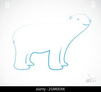 Vector image of an bear on white background. Easy editable layered vector illustration. Wild Animals. Stock Vector