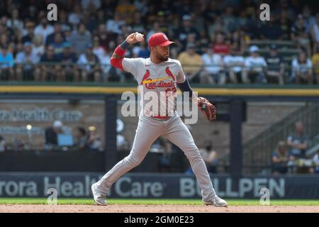 St. Louis Cardinals shortstop Edmundo Sosa (63) throws Cincinnati