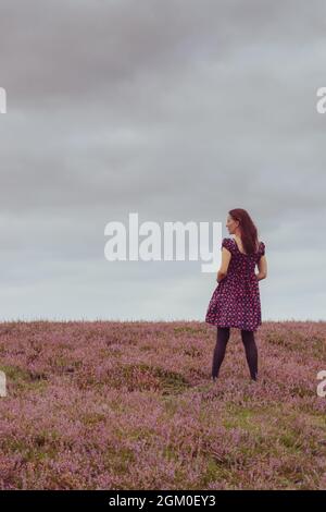 Woman standing in heather heathland in the New Forest during summer, England, UK Stock Photo