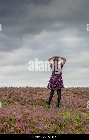 Woman standing in heather heathland in the New Forest during summer, England, UK Stock Photo