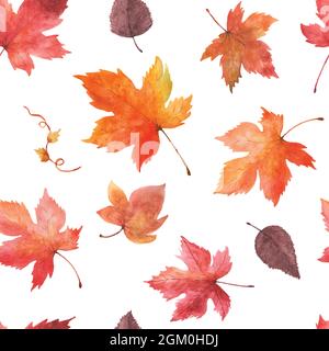 Watercolor seamless pattern autumn leaves on a white background.  Watercolor hand-painted with maple leaves art design for decorative in the autumn fe Stock Vector