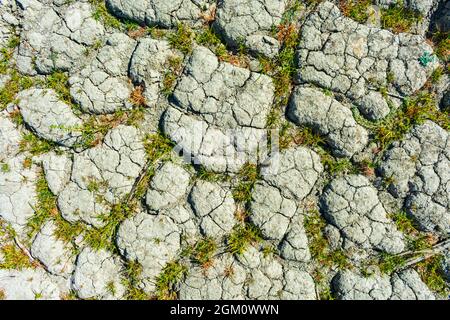 Dry cracked earth, ground with patches of green grass during summer drought. Stock Photo
