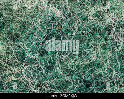 close-up view of green sponge Stock Photo
