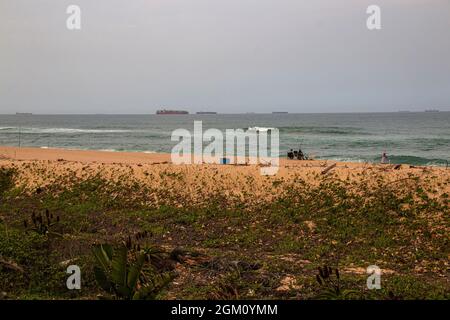 Aloes and vegetation forming part of dune rehabilitation Stock Photo