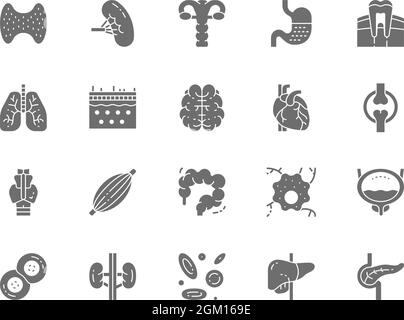Set of Human Organs Grey Icons. Spleen, Stomach, Lungs, Brain, Heart and more. Stock Vector