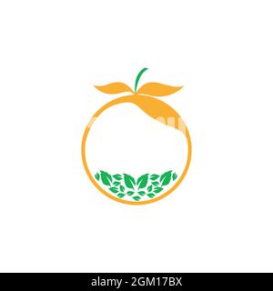 abstract orange leaves logo icon flat concept vector graphic design Stock Vector