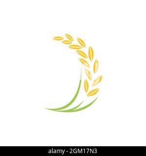 paddy rice food logo icon flat concept vector graphic design Stock Vector