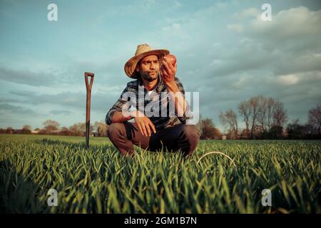 Mixed race male farmer standing in fresh wheat fields holding picked crops Stock Photo