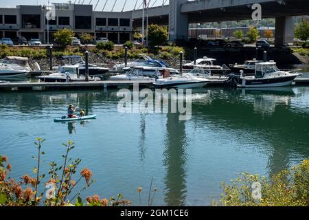 Tacoma, WA USA - circa August 2021: View of a woman and her dog kayaking down the Thea Foss Waterway in downtown Tacoma. Stock Photo