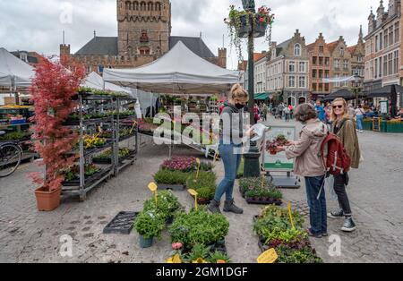 market, Brugge-Bruges, Belgium Stock Photo