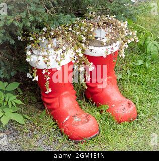 Boots of Santa Claus, filled with flowers, selective focus Stock Photo