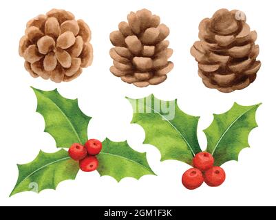 Christmas decorations watercolor style. Holly berry, pine, pine cone, spruce, isolated on white background. Stock Vector