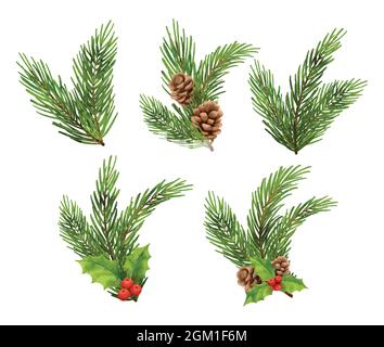 Christmas fir tree branch decorations watercolor style. Holly berry, pine, pine cone, spruce, isolated on white background. Stock Vector