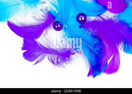 Feather background - small fluffy blue feathers randomly scattered on white table Stock Photo