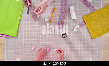Lay Out Paper Pack Flat lay. Step by step. Making unicorns out of paper and empty toilet ...