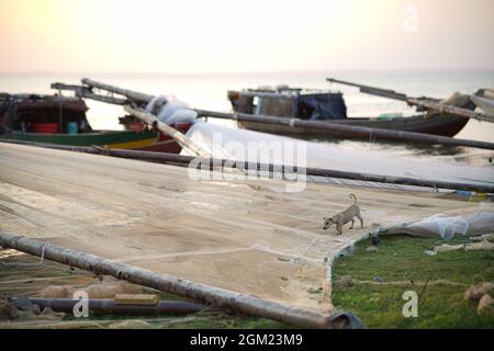 Nice Ben Nom fishing village in Dong Nai province southern Vietnam Stock Photo