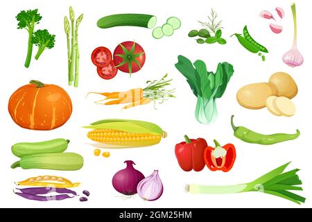 Set of different vegetables for healthy food Stock Vector