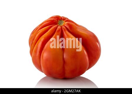 Ox Heart Tomato isolated on white Background, large heart-shaped Italian tomato Stock Photo