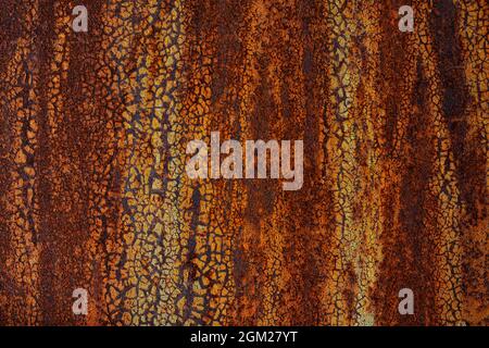Old rusty metal door, painted blue which becomes orange from rust. Texture of cracks and peels paint Stock Photo