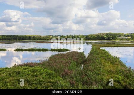 Overlooking the lake in the reserve Het Vinne in the Vicinity of Zoutleeuw Stock Photo