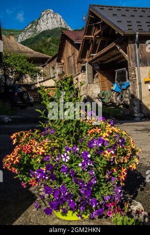 la compote in savoie in france Stock Photo