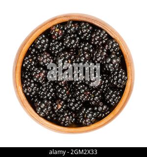 European blackberries in a wooden bowl. Fresh and ripe wild brambles, Rubus fruticosus, a sweet fruit, used for desserts and jams. Stock Photo