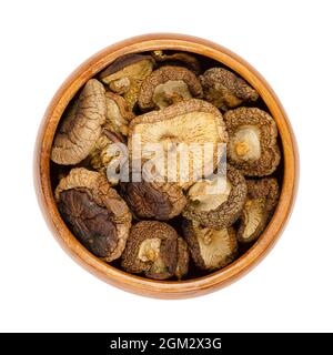 Dried shiitake mushrooms, in a wooden bowl. Lentinula edodes, edible mushrooms, native to East Asia, also used in traditional medicine. Stock Photo