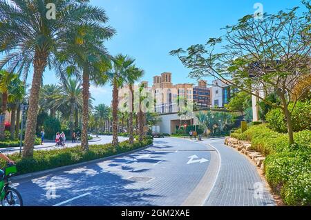 DUBAI, UAE - MARCH 4, 2020: The lush greenery and tall palm trees along Jumeirah Beach Road, on March 4 in Dubai Stock Photo