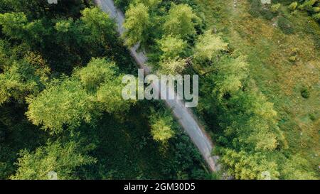 Aerial view of narrow road among green summer field in the mountains.