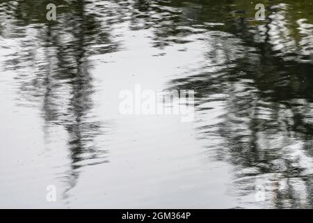 Abstract reflection in a pond. Stock Photo