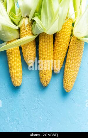 Whole Corncobs or Corn Ears. Top Down View. Stock Photo