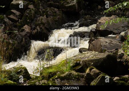 Cascading waterfall, Galloway Forest Park, Scotland Stock Photo