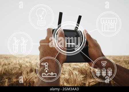 Man farmer standing in wheat field and controlling drone. Technologies in agriculture concept Stock Photo