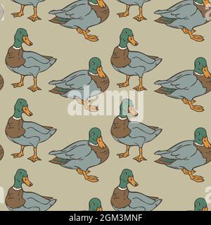 Vector seamless pattern with wild ducks. Design with ducks. Stock Vector
