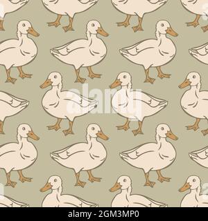 Vector seamless pattern with domestic duck. Design with hand drawn duck. Stock Vector