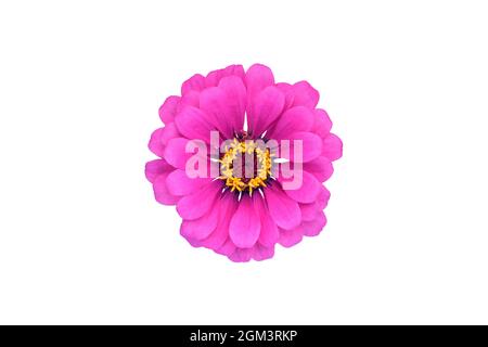 Blurred yellow lights background Stock Photo