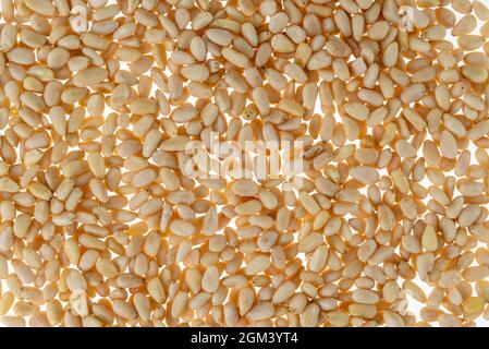 Surface covered with pine nuts in top view Stock Photo