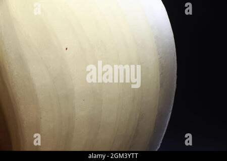 Fresh onion bulbs on black background. Bulb onion is rich vitamins, useful spring. Onion peel on a dark background. Raw sliced onions. Stock Photo