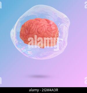 Creative minimal scene with a human brain floating  in a transparent soap bubble levitating in the air on a trendy background illuminated by a blue an Stock Photo