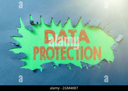 Conceptual caption Data Protection. Business overview legal control over access and use of data stored in computer Thinking New Writing Concepts Stock Photo