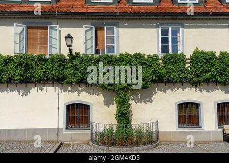 nice building exterior with grapes in Lent district Maribor Szlovenia Stock Photo