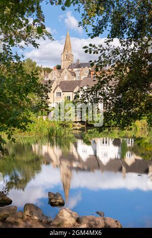 A heron sits patiently in reeds along the River Avon at Daniels Well in Malmesbury, Wiltshire. Stock Photo