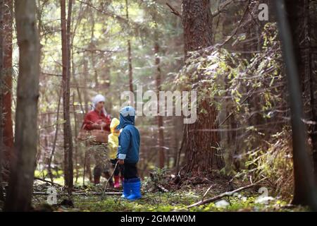 Children in village walk through the autumn forest and gather mushrooms. Children in nature are walking in nature. Rural walk in autumn. Stock Photo