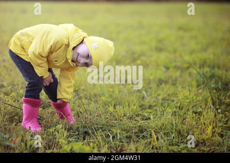 Children in village walk through the autumn forest and gather mushrooms. Children in nature are walking in nature. Rural walk in autumn. Stock Photo