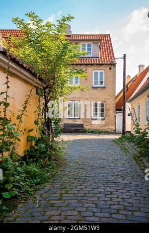 Beautiful, small, yellow rustic houses. Traditional Scandinavian style. Stock Photo